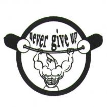 never give up 及圖
