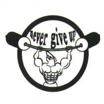 never give up 及圖