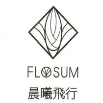 晨曦飛行 Flosum 及圖