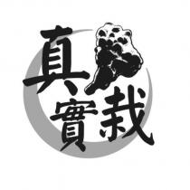 真實栽及圖