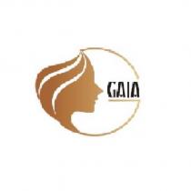 GAIA 及圖