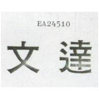 文達 EA24510 