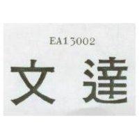 文達 EA1  002 