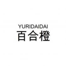 YURIDAIDAI 百合橙