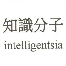 知識分子 intelligentsia