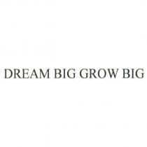 DREAM BIG GROW BIG
