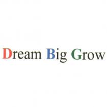 Dream Big Grow 設計圖