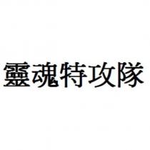 靈魂特攻隊