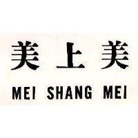 美上美
