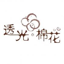 透光棉花及圖