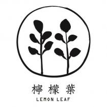 檸檬葉 LEMON LEAF 及圖
