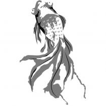 魚圖