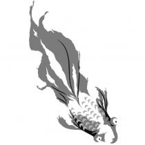 魚圖