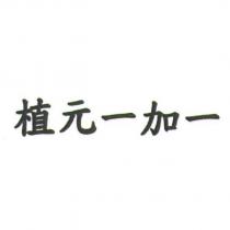 植元一加一