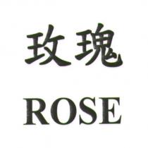 玫瑰 ROSE
