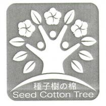 種子樹の棉 Seed Cotton Tree 及圖