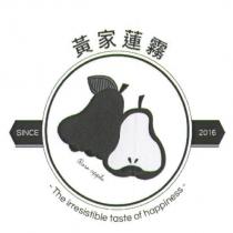 黃家蓮霧 Rose apple SINCE 2016 及圖