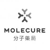 分子藥局 MOLECURE 及圖