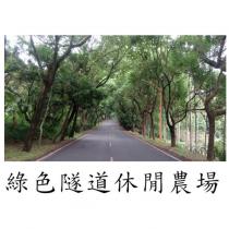 綠色隧道休閒農場及圖