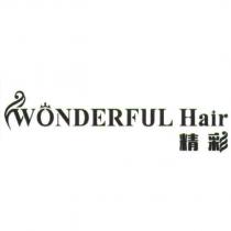 精彩 WONDERFUL Hair 及圖