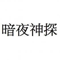 暗夜神探