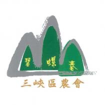 三峽區農會碧螺春及圖