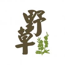 野草及圖