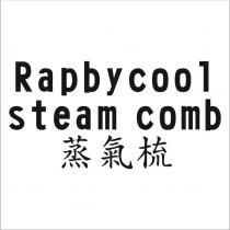 Rapbycool steam comb 蒸氣梳