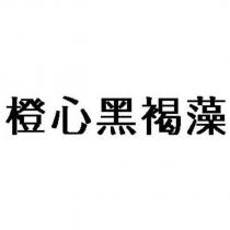 橙心黑褐藻