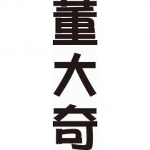董大奇