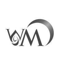 WM 圖型
