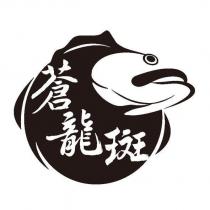 蒼龍斑及圖
