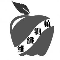 植物纖維及圖