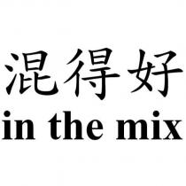 混得好 in the mix