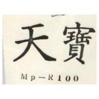天寶 MP R100 