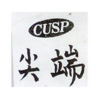 尖端 CUSP 