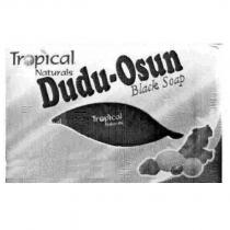 Tropical Naturals Dudu-Osun black soap 及圖