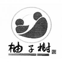 柚子樹及圖