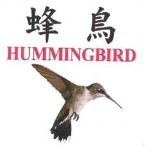 蜂鳥 HUMMINGBIRD 及圖