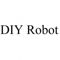 DIY Robot