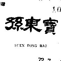 孫東寶 SUEN DONG BAO 