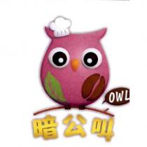 暗公叫 OWL 及圖