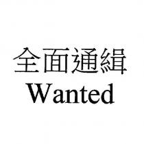 全面通緝 Wanted