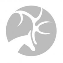 鹿頭設計圖