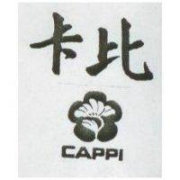 卡比及圖 CAPPI 