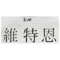 維特恩 V T M 