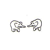 雙象圖