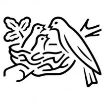 Nest w/birds