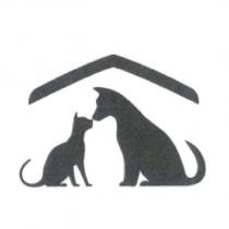 犬貓設計圖