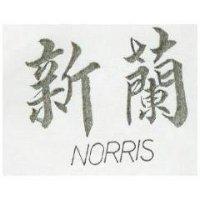 新蘭 NORRIS 